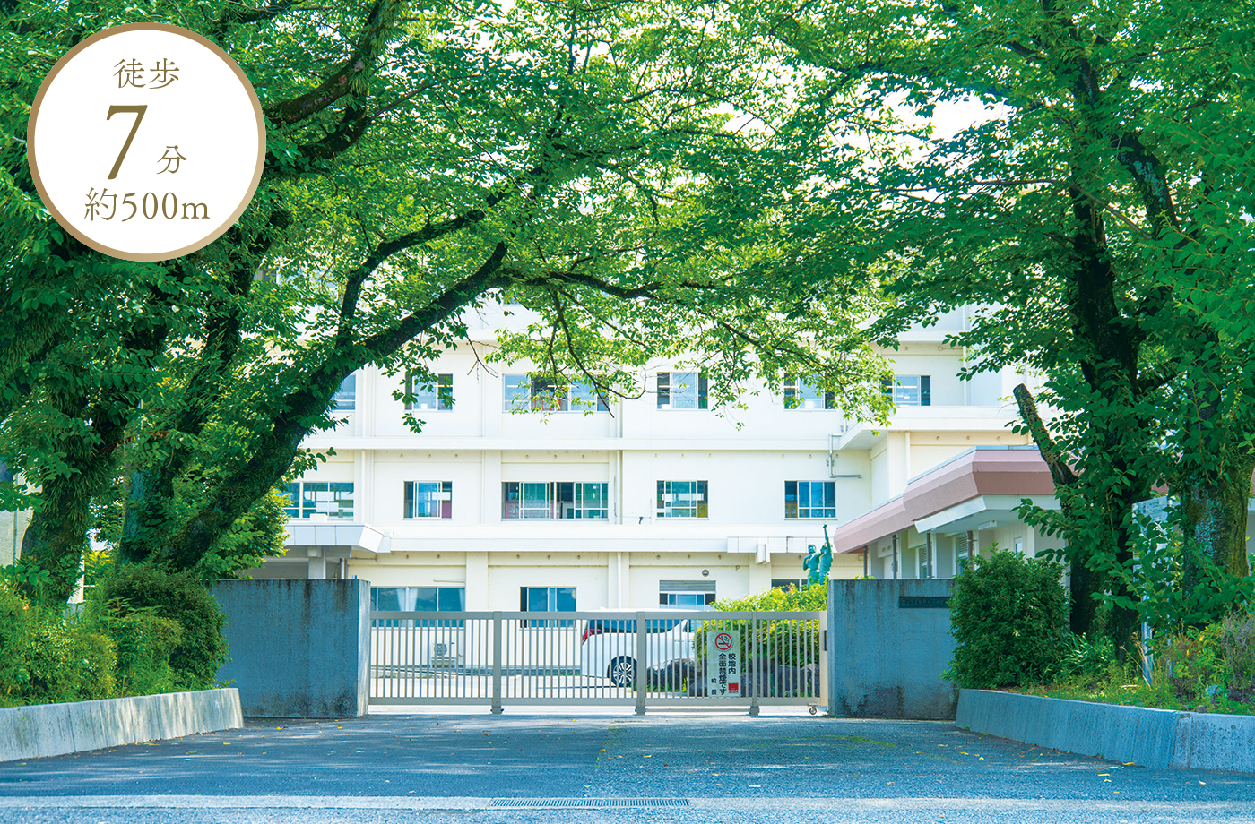 徒歩7分 約500m 吉原第一中学校