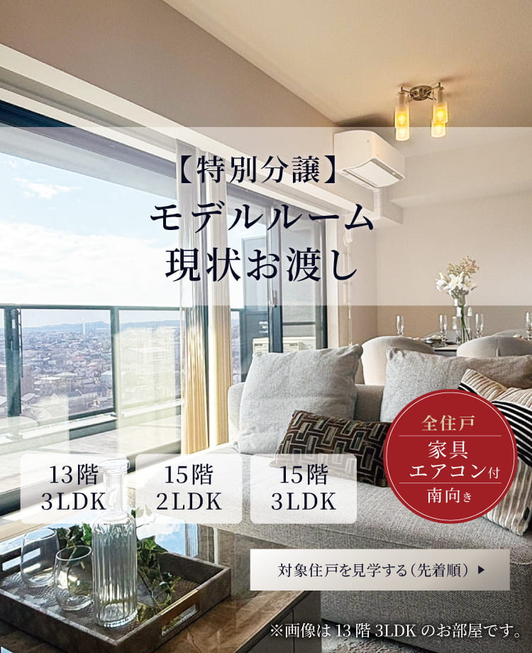 特別分譲 モデルルーム現状お渡し 家具・エアコン付き 全住戸南向き 対象住戸を見学する（先着順）