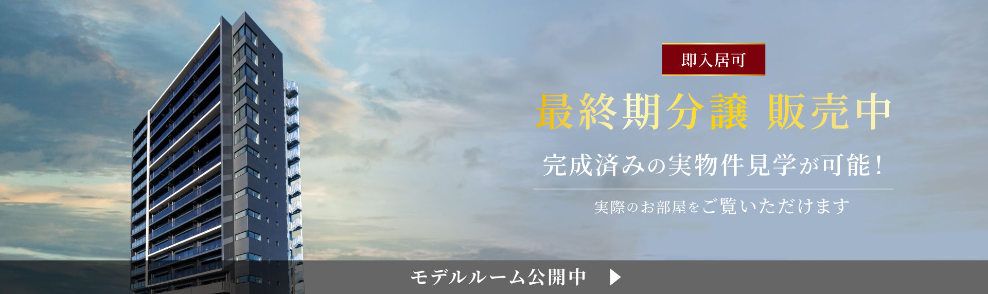 完成　各タイプの実邸公開中　藤枝の空を独占する、マンション上層階という選択