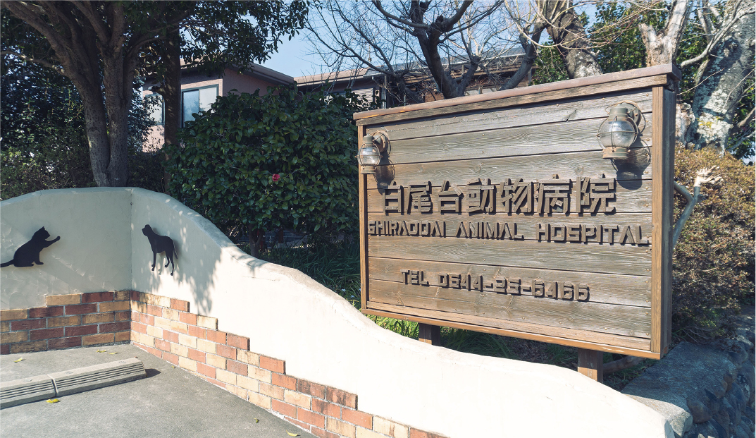 白尾台動物病院