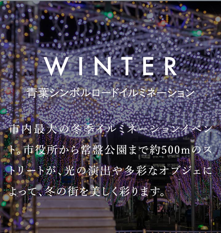 WINTER　青葉シンボルロードイルミネーション　市内最大の冬季イルミネーションイベント。市役所から常盤公園まで約500mのストリートが、光の演出や多彩なオブジェによって、冬の街を美しく彩ります。