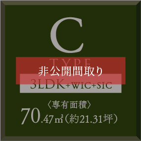 タイプC