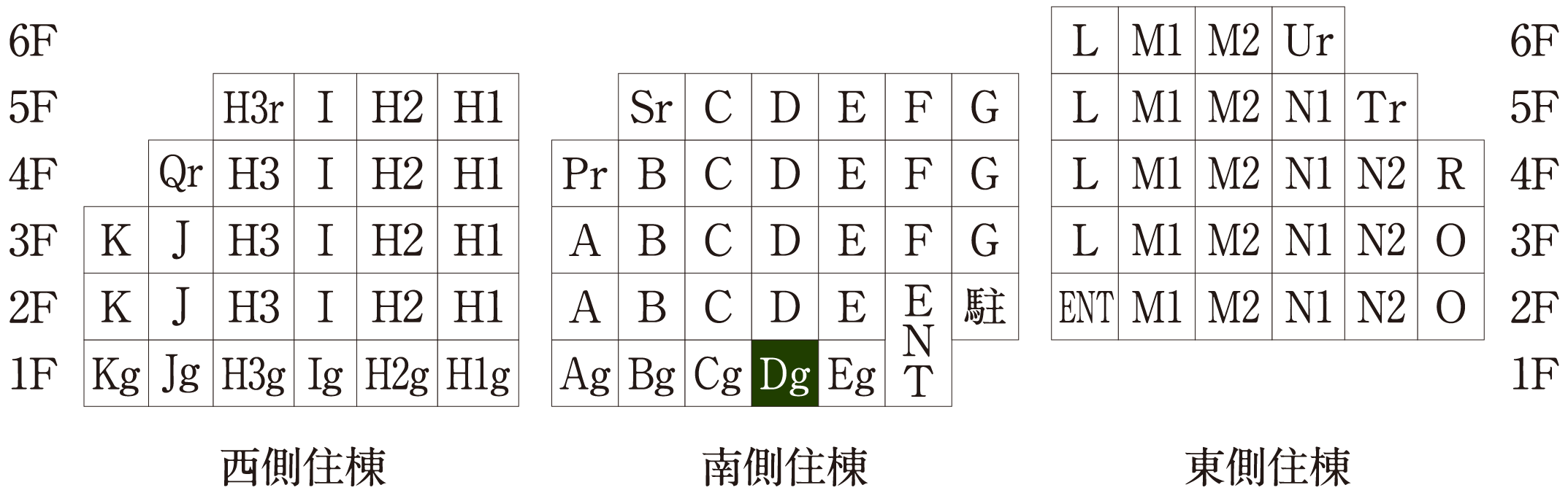 Dgタイプ